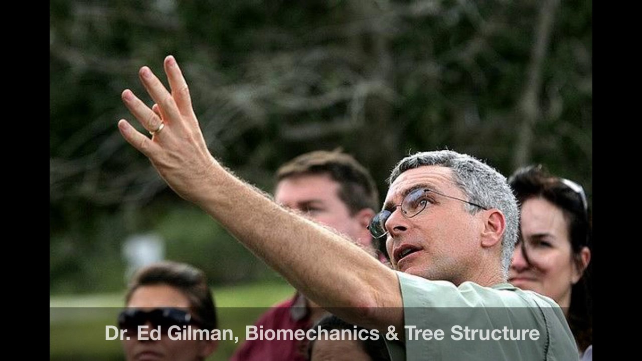 Structural Pruning Tour