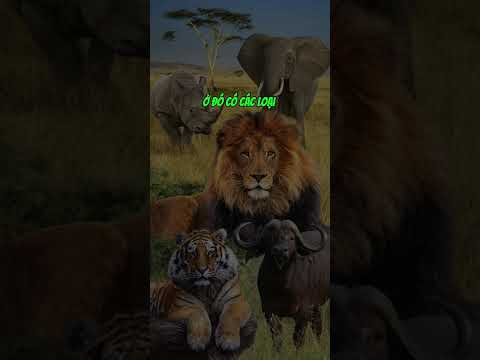  #247 BẠN BIẾT GÌ VỀ THẾ GIỚI DẠ CON CỦA NGƯỜI MẸ?