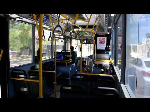 TransBusselton TP1448 - Mercedes OC500LE (Musical ZF Ecomat)