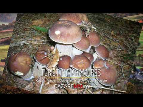 CAZARE FIRIZA MARAMURES