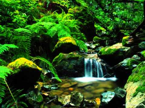 3000 miles song By Dan Pierpoint Albion