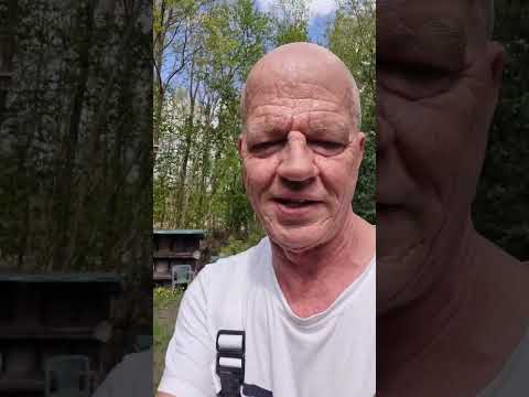 Hilfe Schwarmgefahr 😛 Mega starke Bienenvölker