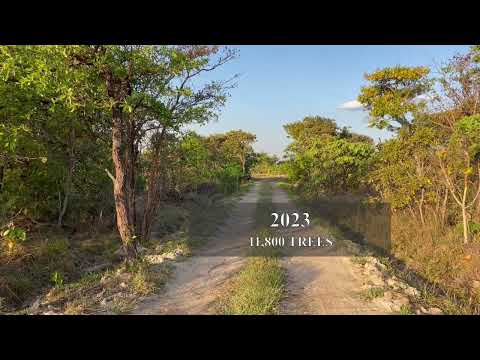 A bare land transformed in only 5 years