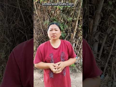 แม่หมีแพนด้าไม่สนใจลูกเลย #funny #การแสดงเท่านั้น #animals #comedy #บังเอิญเจอ