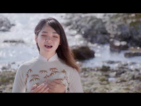 Đảo xanh Sheet - Huỳnh Như