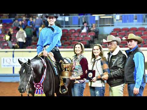 2017 AQHA Senior Western Pleasure