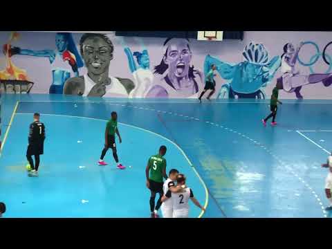 Coupe de France de Futsal : Aulnay Futsal - Goal Futsal Club Lyon 2 - 4