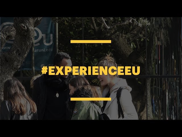 European University видео №1