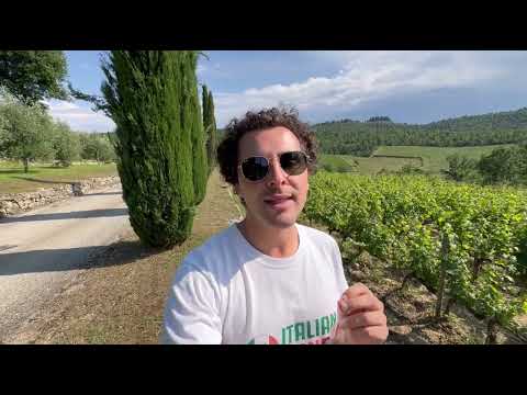 La Gran Selezione e l’Importanza dei Single Vineyards ?