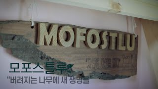 [숲SAY] 숲으로 세상을 이롭게 하는 사람들_#2편 모포스틀루