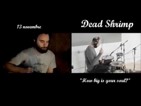 Thumbnail for Dead Shrimp Backstage 2015 by ENTRE