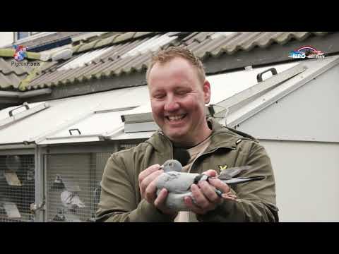 NPO Kampioenen 2024: 1e Nationaal Duifkampioen jonge duiven - Buck en Martijn de Kruijf, Woerden