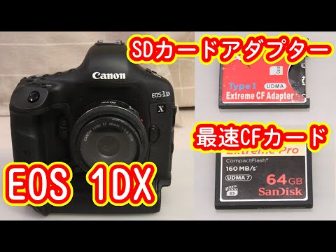 Canan キヤノン EOS 1DXの連写にSDカードアダプターと最速CFカードを試す