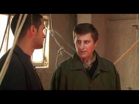 Confronti fra polli bio e broiler