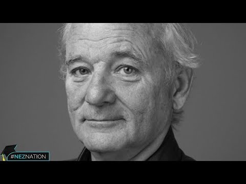 Bill Murray Teaches Us About  Life and Personal Branding