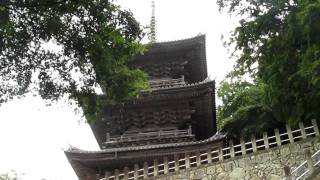 preview picture of video '安来清水寺((島根県安来市))((8))三重塔'