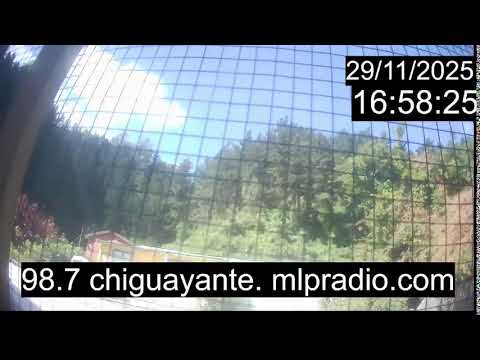 Chiguayante Bio Bio Chile, en Vivo. Live Cam, Camara en vivo.