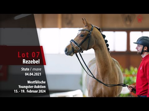 Youngster-Auktion Lot 07 Rezebel Stute v. Levi - Lupicor
