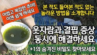 어렵고 복잡한 추비! 이제 쉽게 하세요 - 웃자람과 결핍증상 동시에 해결하세요
