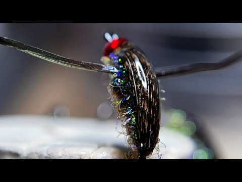 Waterboatman pattern