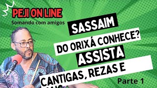 SASSAIM DE SEU ORIXÁ VOCÊ CONHECE? ASSISTA #candomblé #compartilhe @pejiganbessenoficial