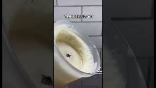 How to Fix Candle Tunneling