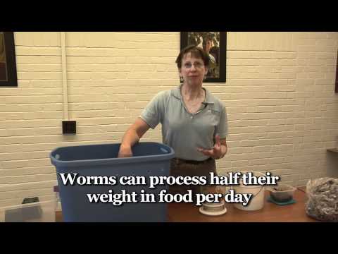 【生活常識】教你如何做「蠕蟲堆肥」　Worm Composting