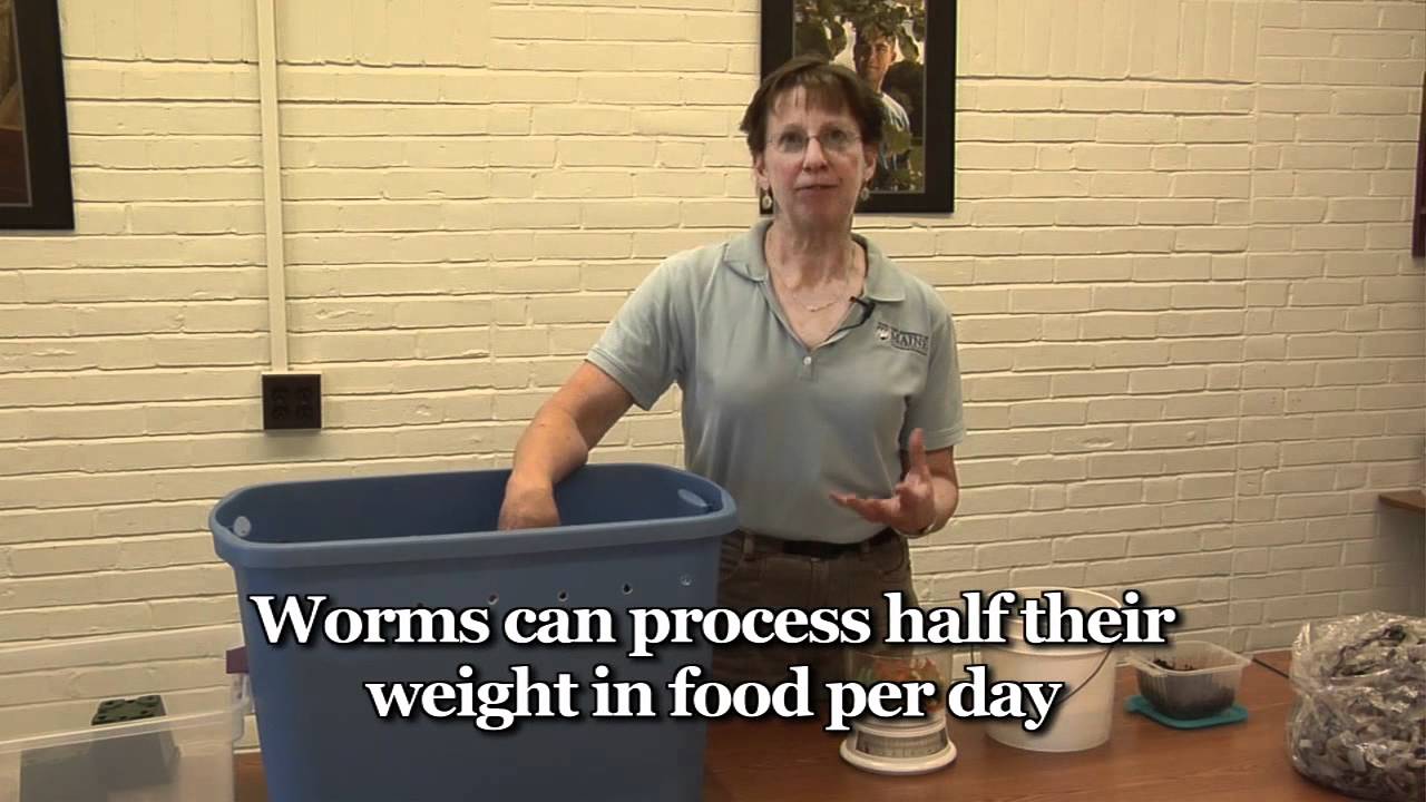 Worm Composting