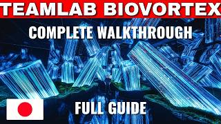 teamLab Biovortex Kyoto The COMPLETE Guide EVERYTHING You Need to Know