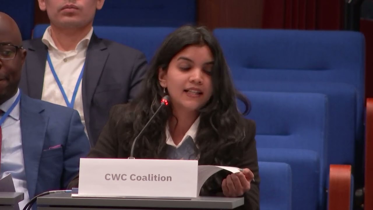 NGO Statement on Improving Interactions between Civil Society and the OPCW