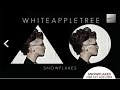 White Apple Tree - Snowflakes (Original Musik ...