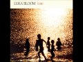 Luka Bloom - Star of Doolin