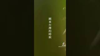 【台湾】【剩下9天】帰国まであと9日#台湾 #台湾留学 #shorts