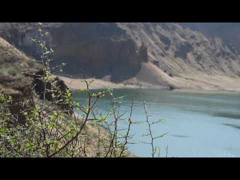 Central Island - Flamingo 🦩 Crater