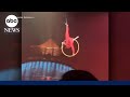 Cirque du Soleil aerialist falls mid-stunt