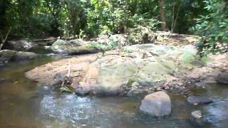 preview picture of video 'Sri Lanka,ශ්‍රී ලංකා,Ceylon,Jungle River (02)'