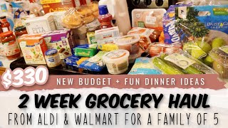 Family Grocery Haul from Aldi + Walmart Pick Up