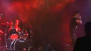 29.5.2010 Praha - Leucaemia fest