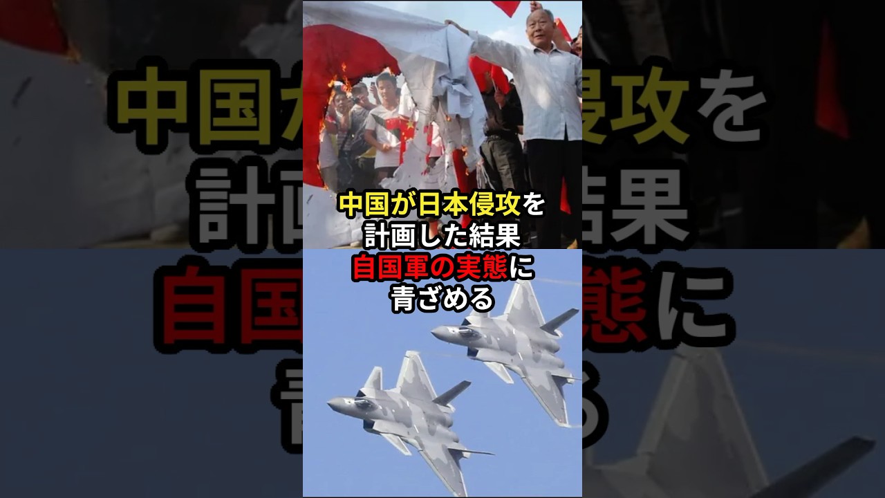 中国が日本侵攻を計画した結果自衛隊の実態に青ざめる #海外の反応