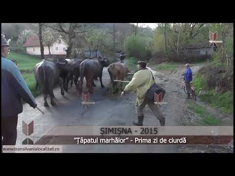 ȘIMIȘNA-SJ (2015) - Prima zi de ciurdă