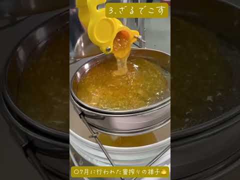 商学科 大妻嵐山高校ショートムービー