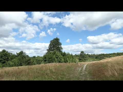 Skakig vandring på Risen i Genarp