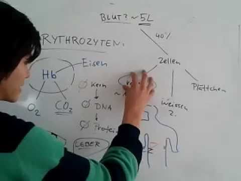 Sanatorium Behandlung von Prostatitis Trans abspritzt Porno-Videos Prostata