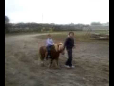 ballariel a cavallo  melchiade