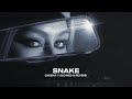 SNAKE CHEEMA Y Slowed Reverb