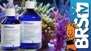 Simplifying Korallen-Zucht ZEOvit System