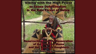 The Learning Tree and the Wise Teacher