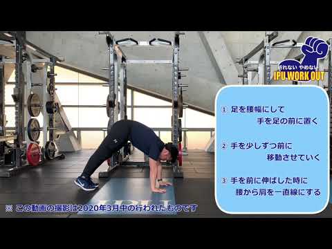 体育学科 IPU Workout インチワーム