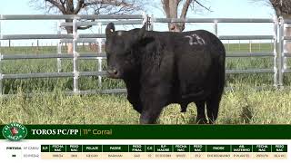 3 Toros PC/PP - Gregorio Aberasturi - Plaza Ganadera
