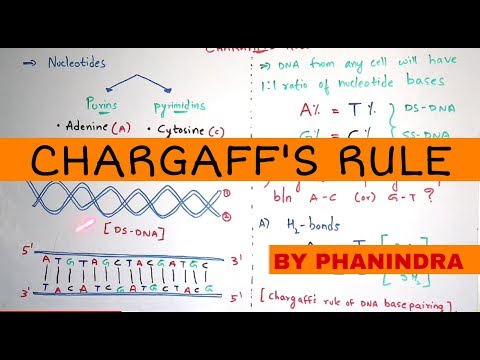 CHAPTER CARBOHYDRATES part 1 BIOCHEMISTRY BY PHANINDRA GUPTA